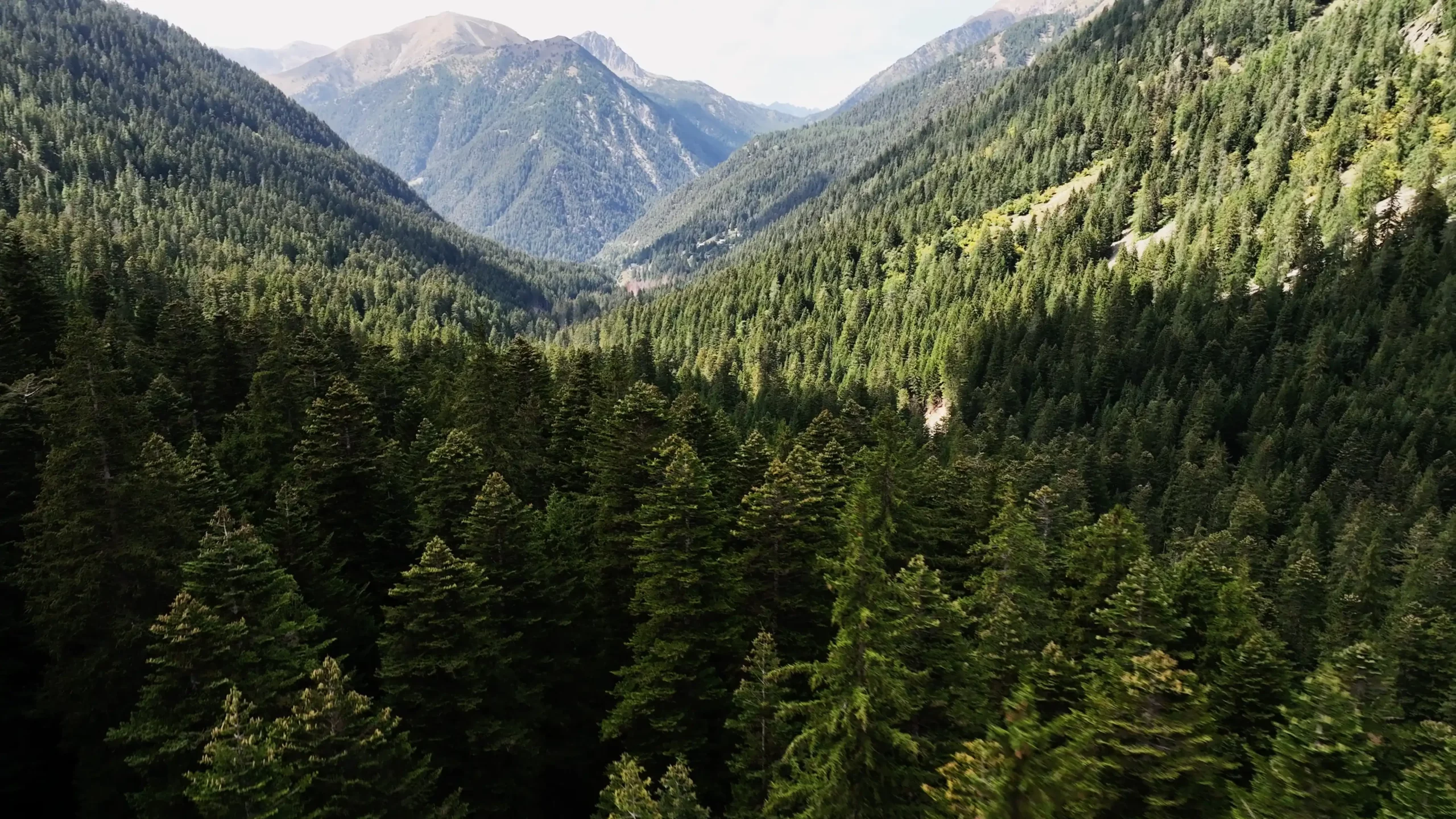 SMIAGE INTERVIEW - 2